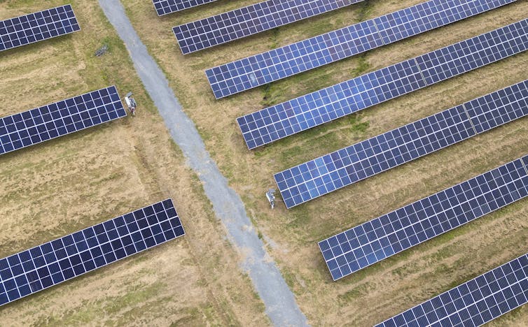 solar panels in a field